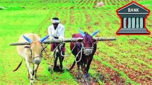 farmers, akola, crop loan akola, banks,