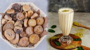 Anjeer Milkshake Is it good for weight watchers Beacuse150 calories per serving and has a well balanced combination of protein