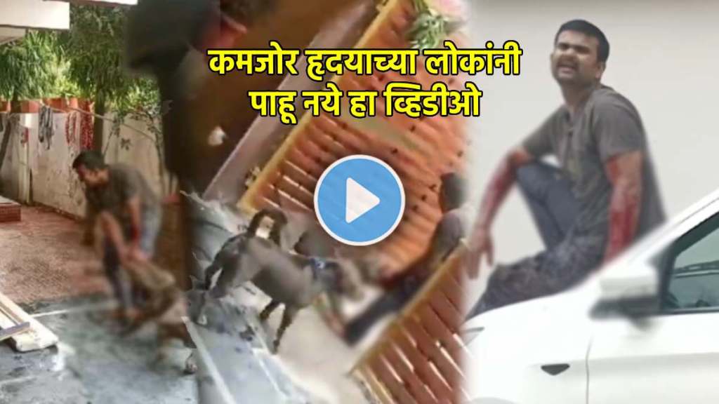 pitbull dogs attack delivery man in raipur