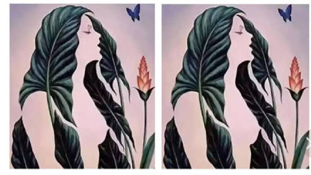 Optical Illusion Personality Test