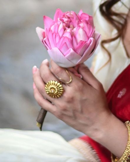 Samruddhi Kelkar South Indian Look