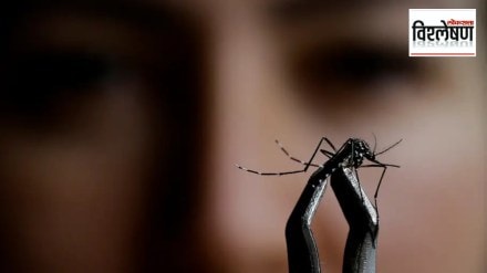 What is Oropouche fever Death in Brazil