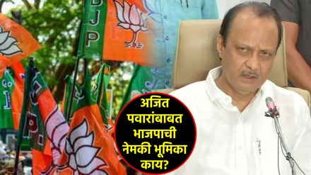 ajit pawar bjp alliance vivek article rss ajit pawar bjp alliance vivek article rss