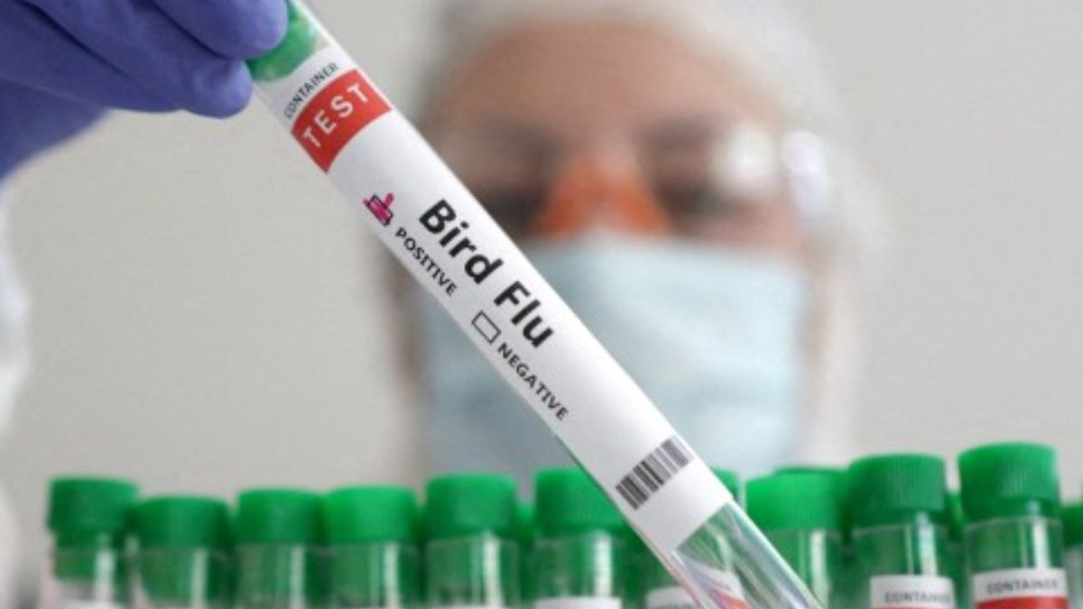 A WHO initiated vaccine to protect against bird flu infection | बर्ड ...