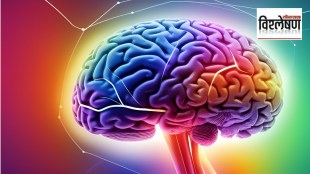 epilepsy permanent relief marathi news