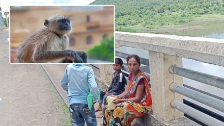 monkey attack on woman