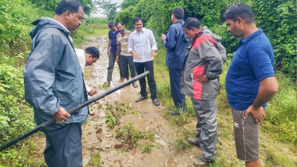bhandara tiger marathi news bhandara tiger marathi news