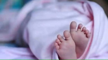 Child dies due to snake bite nashik Child dies due to snake bite nashik