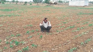 majority of farmers oppose land acquisition for surat chennai green national highway