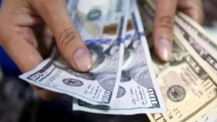 Junk paper handed over as bait of foreign exchange Junk paper handed over as bait of foreign exchange