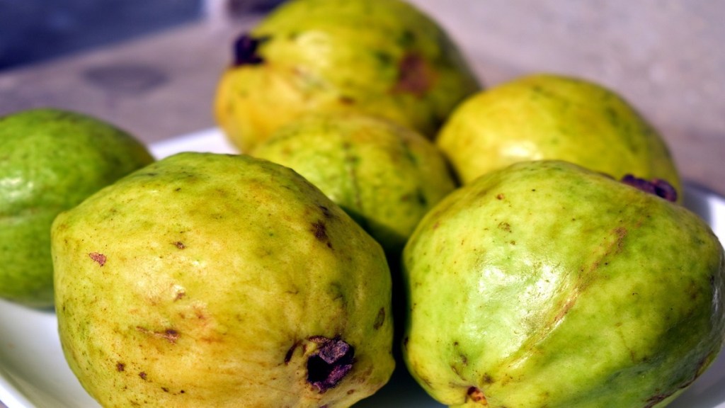 Guava, price, low price Guava, Guava, price, low price Guava,