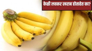 how to store bananas