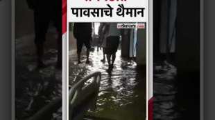 Raigad rain update rain water in Civil Hospital