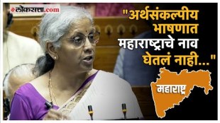 What did the finance minister say about the Union budget 2024