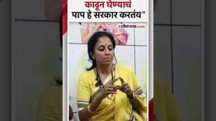 ‘महाराष्ट्र जनसुरक्षा अधिनियम 2024’वरुन सुप्रिया सुळेंची सरकारवर टीका | Supriya Sule