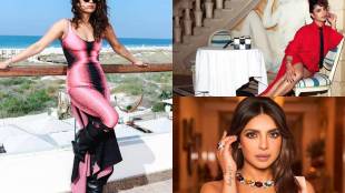Priyanka Chopra Monthly Income Fees Property Social Media Earning