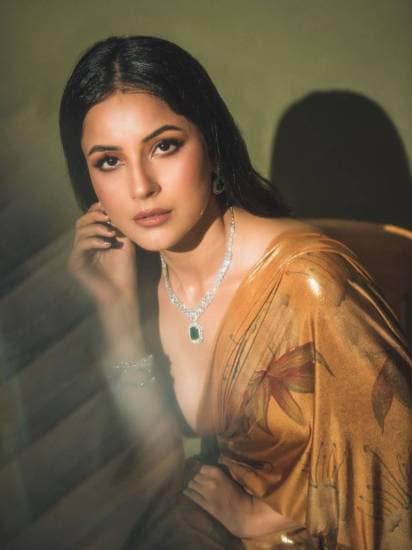 hehnaaz kaur gill age