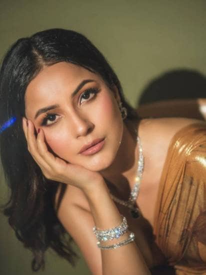 Shehnaaz Kaur Gill Photos