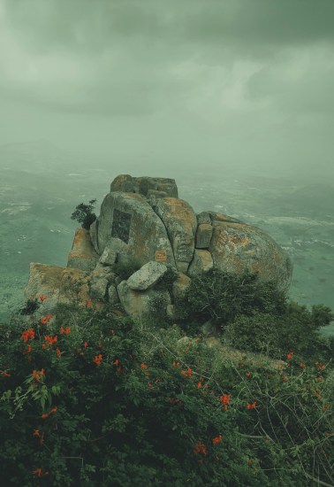 telangana state