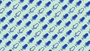 loksatta kutuhal Whisper ai