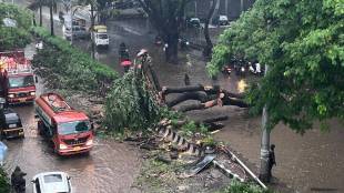 maharashtra latest rain updates