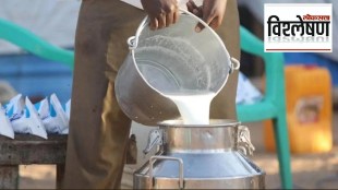 loksatta explained Why did the issue of milk price flare up in the state