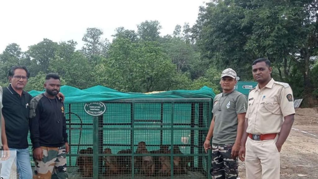 Tourists banned for two days in Bhimkund waterfall area due to monkeys Tourists banned for two days in Bhimkund waterfall area due to monkeys