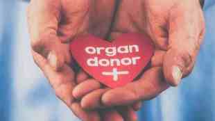Crores spent by government on organ donation awareness But no liver transplant is done in any government hospital in the state