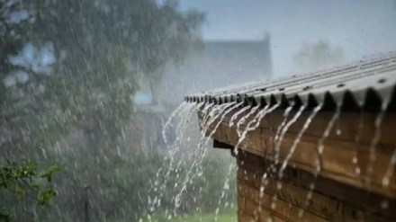 imd prediction on heavy rain failed again mumbai print news zws 70