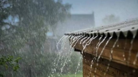 Rain Alert, Mumbai Rain Update, Mumbai Heavy Rainfall Alert, Maharashtra Rain Alert Today Maharashtra, heavy rains, schools closed, flood warnings, Vidarbha, Konkan, Indian Meteorological Department, Nagpur, Mumbai, Raigad, Ratnagiri, Bhandara, Chandrapur, orange alert, yellow alert, latest news, marathi news,
