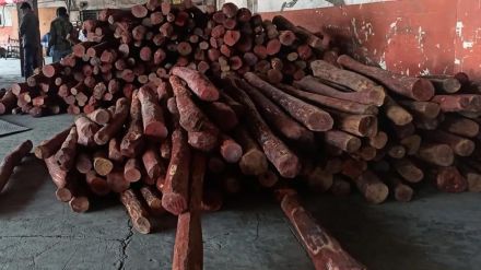 red sandalwood worth Rs eight crore seized Where did the action take place red sandalwood worth Rs eight crore seized Where did the action take place