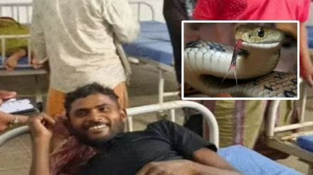 snake died after being bitten by a man