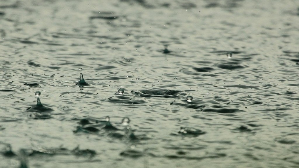 Koyna, water, Satara, rain, Western Ghats,