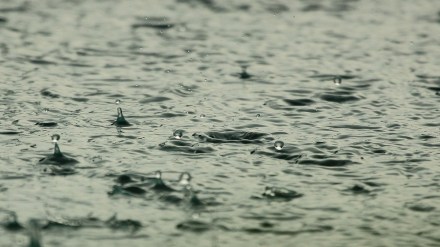 Koyna, water, Satara, rain, Western Ghats,