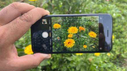 5 settings on your iPhone to take your photos cool