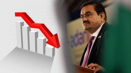 Adani Shares Down Adani Shares Down