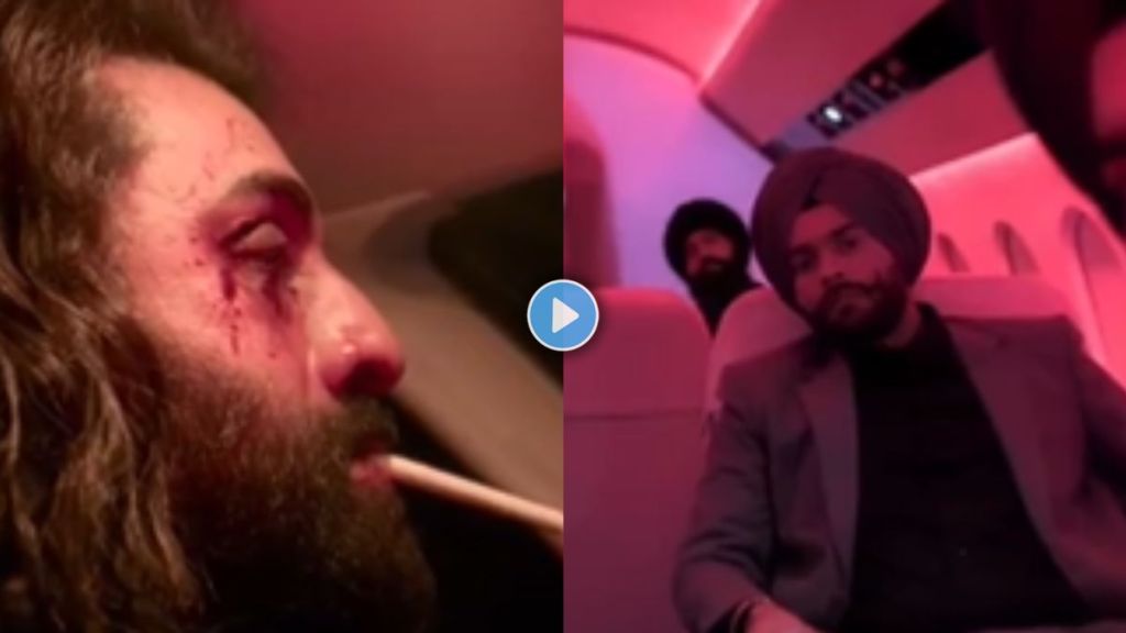 Animal Movie Animal Movie