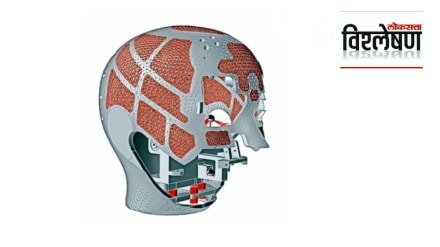 Final skull design with lattice structures. Journal of Institution of Engineers, India