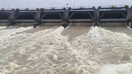 Increase in discharge from four dams in Nashik Gangapur at 75 percent