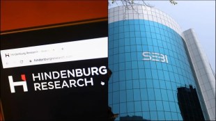 loksatta editorial on Hindenburg Sebi Row