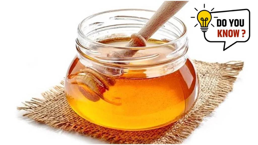 News About Honey