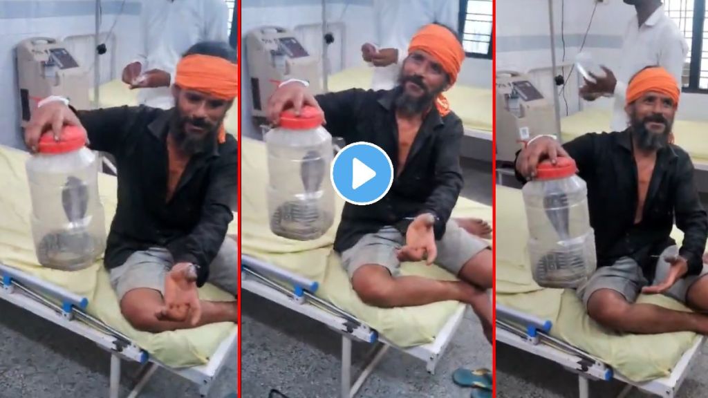 Man catches cobra Man catches cobra