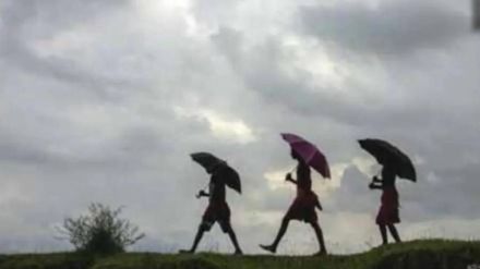 no rain in most of area in state for next five days due to Nutrient conditions for monsoon rains