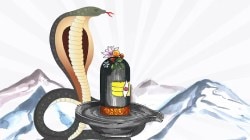 Nag Panchami 2024: छोटे गुरु का, बडे गुरु का, नागलो भाई नागलो; भारतातील नागपंचमीच्या विविध प्रथा काय सांगतात?