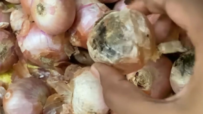 kitchen jugad video easy ways to prevent onion rot during monsoon