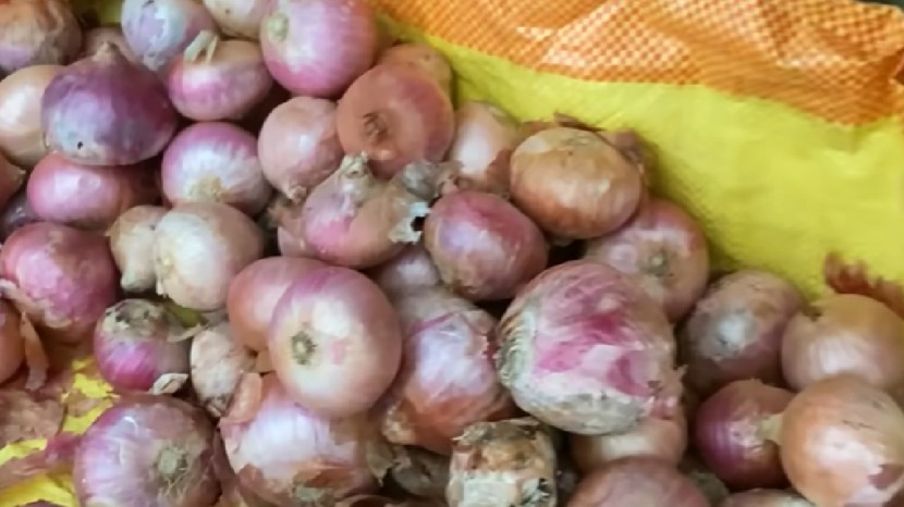 kitchen jugad video easy ways to prevent onion rot during monsoon