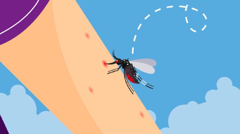 malaria causes symptoms and precautions in marathi
