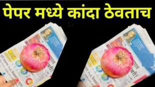 kitchen jugad easy ways to prevent onion rot during monsoon kitchen tips