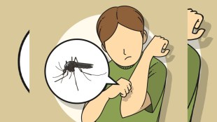 Malaria causes symptoms and precautions in marathi