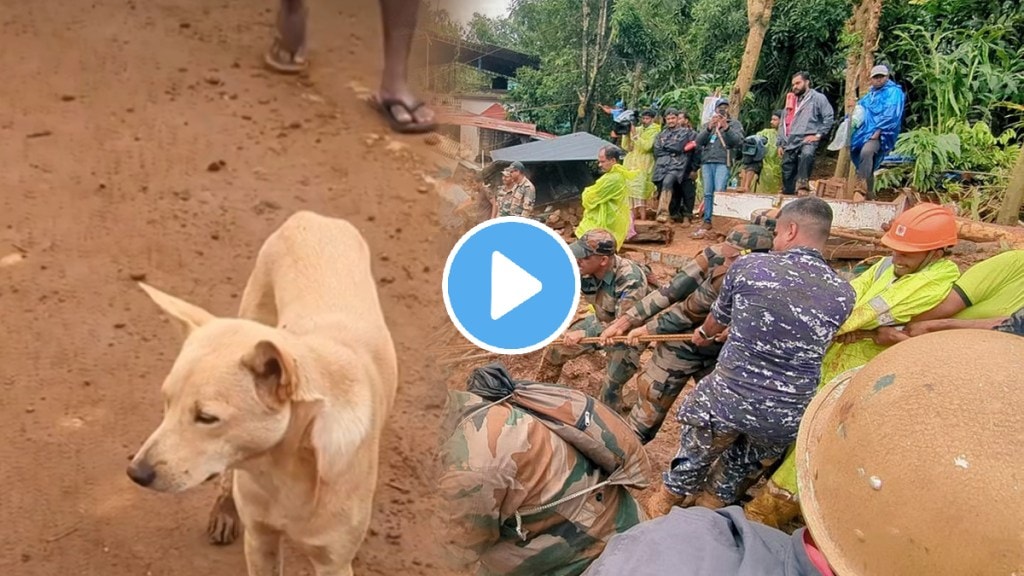 Wayand dog Viral video Dog after seeing its owners who were missing for 6 days in Wayanad Video